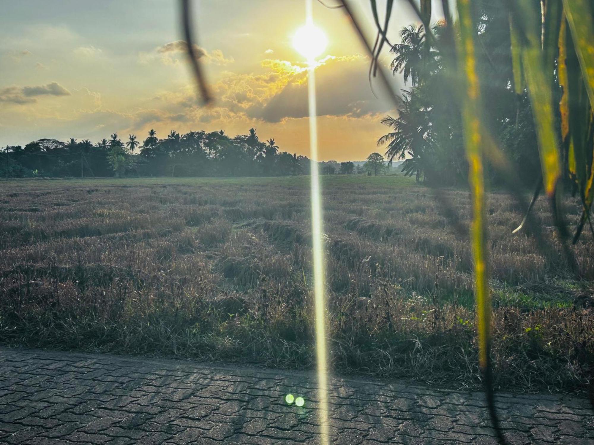 Windy Villa Polonnaruwa Bagian luar foto