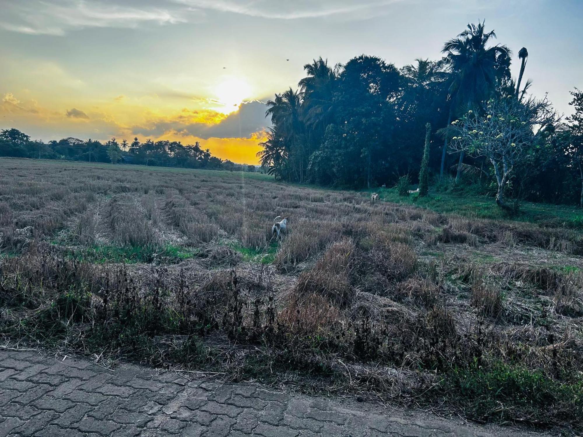 Windy Villa Polonnaruwa Bagian luar foto