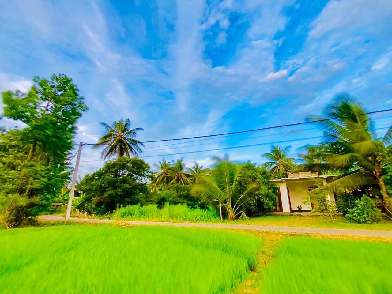 Windy Villa Polonnaruwa Bagian luar foto