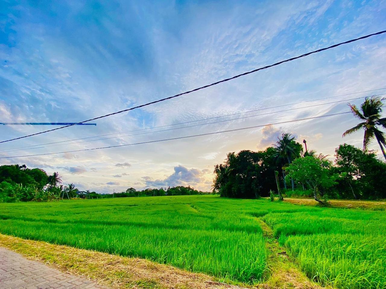 Windy Villa Polonnaruwa Bagian luar foto