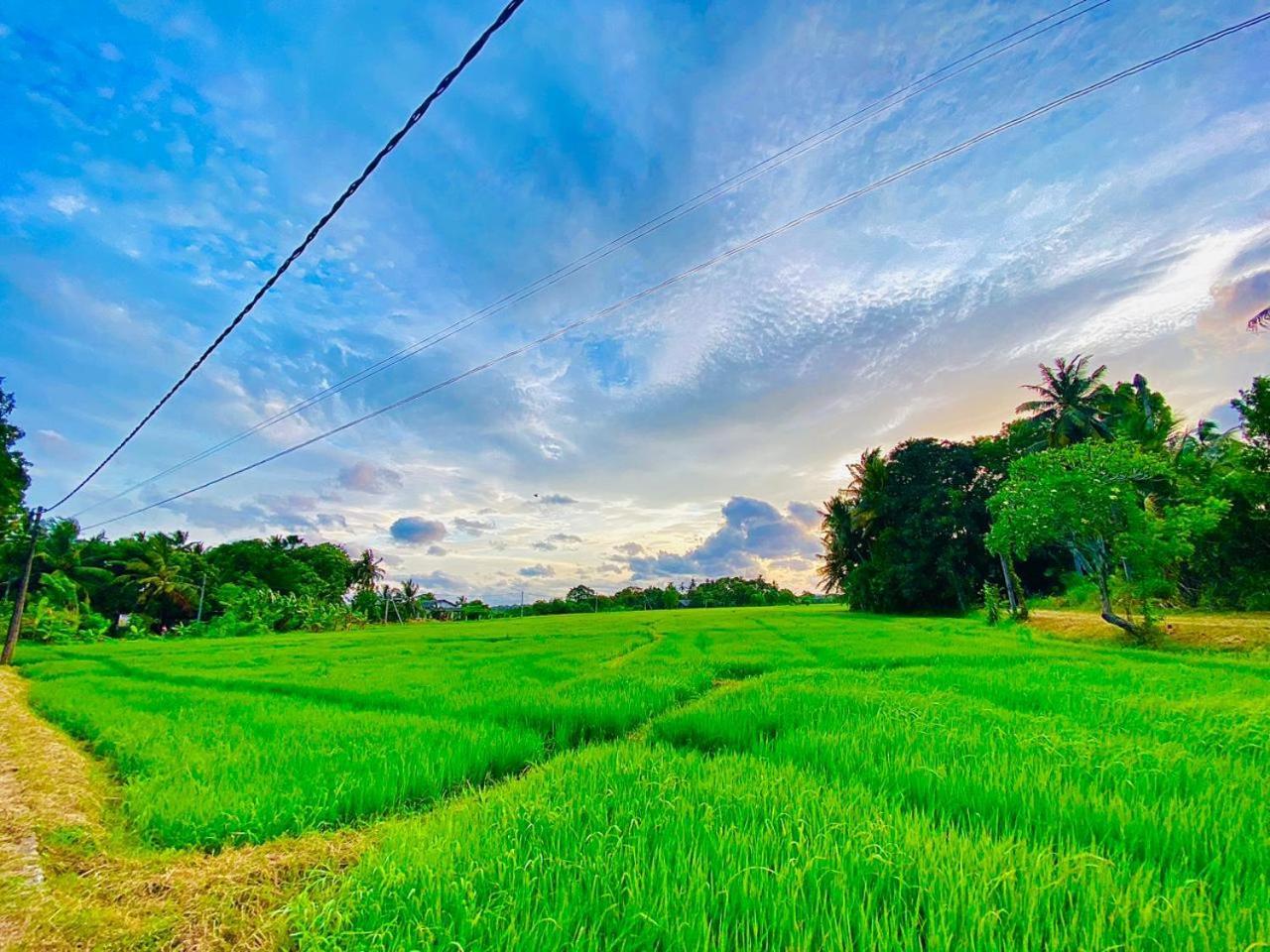 Windy Villa Polonnaruwa Bagian luar foto